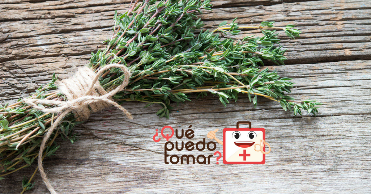 Propiedades medicinales del tomillo