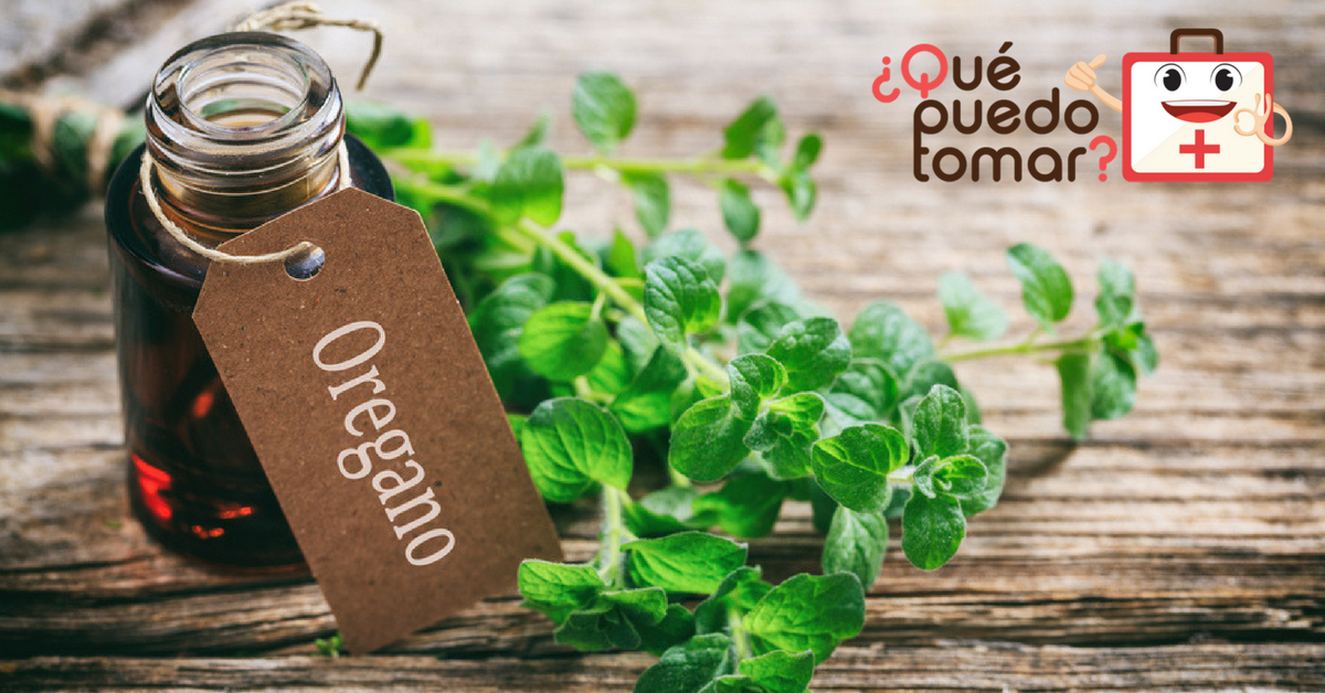 Beneficios del aceite de orégano