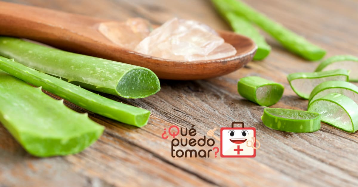 Gel de aloe vera para tratar las quemaduras solares