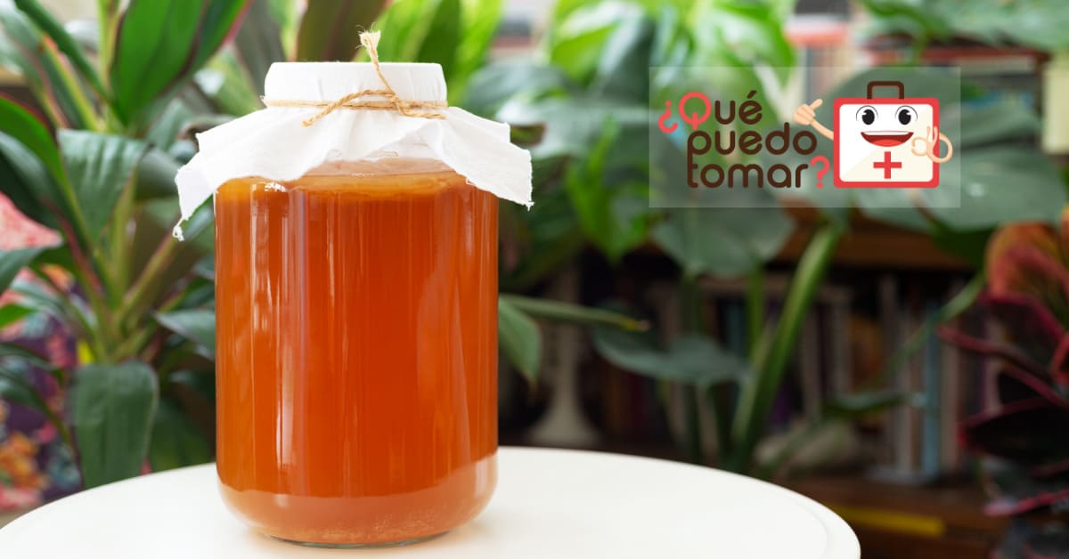 ¿Cómo preparar kombucha casera?