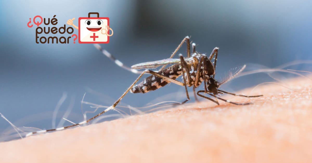 Repelentes naturales contra mosquitos