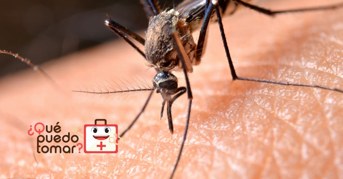 Enfermedades transmitidas por mosquitos